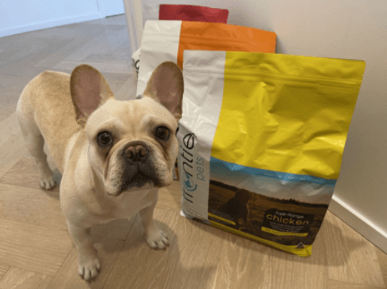 Frontier Dog Food being tested.