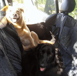 LuckySeat Dog Cover being tested.