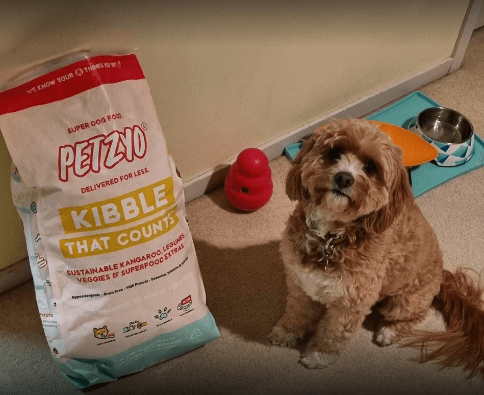 Petzyo dog food tested