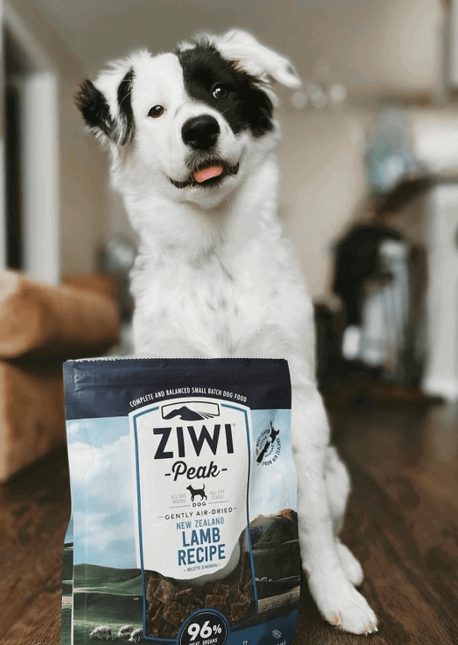 Ziwi Peak Air-Dried Food Lamb Recipe being tested by our review team.