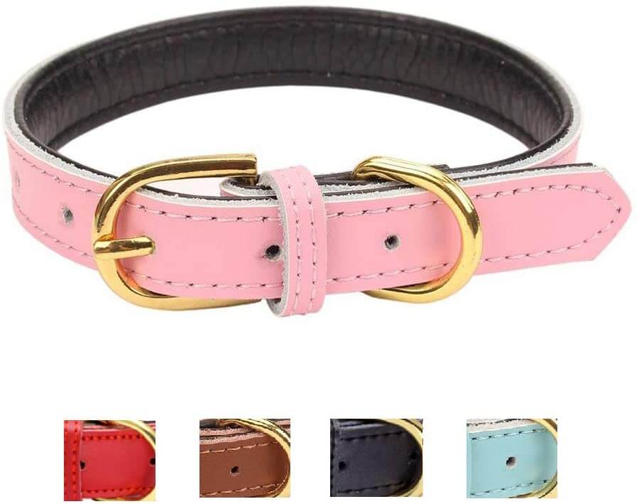 Ozpaw Padded Leather Dog Collar