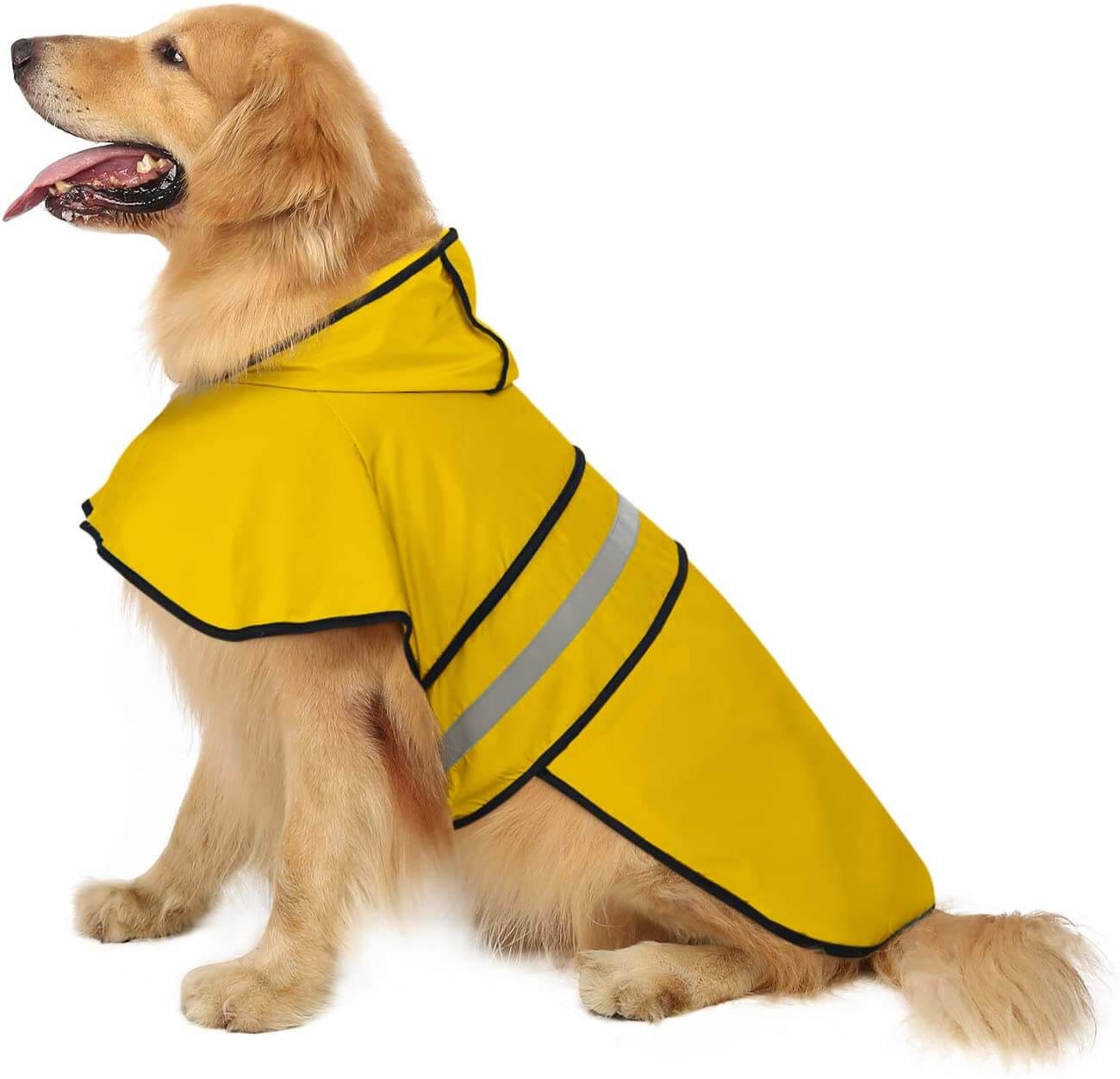 The Best Dog Raincoat Sensitive Canine Gear (2023 Buyers Guide