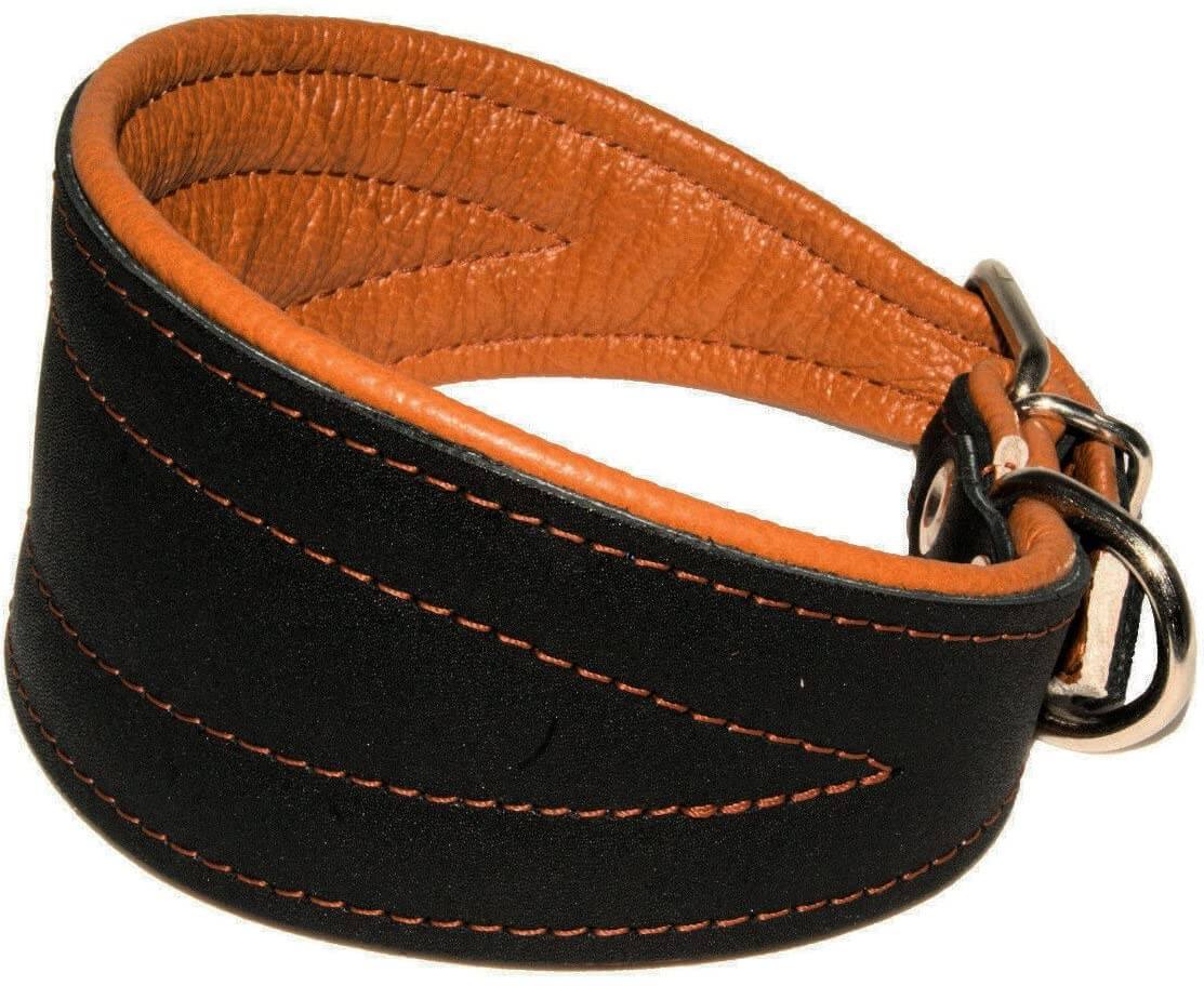 Dogs My Love Real Leather Padded Collar