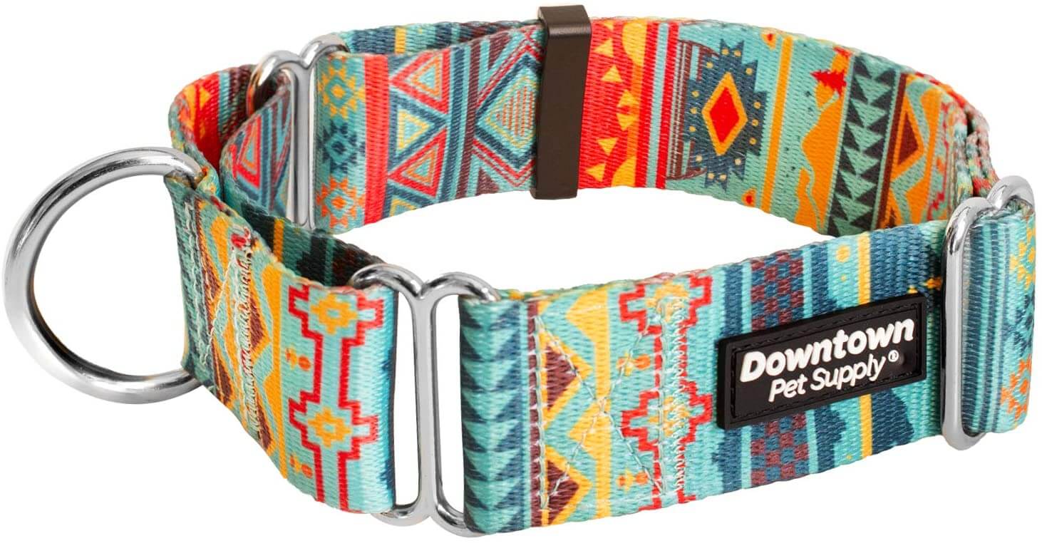 Downtown Pet Supply Big and Wide Martingale Training Collar