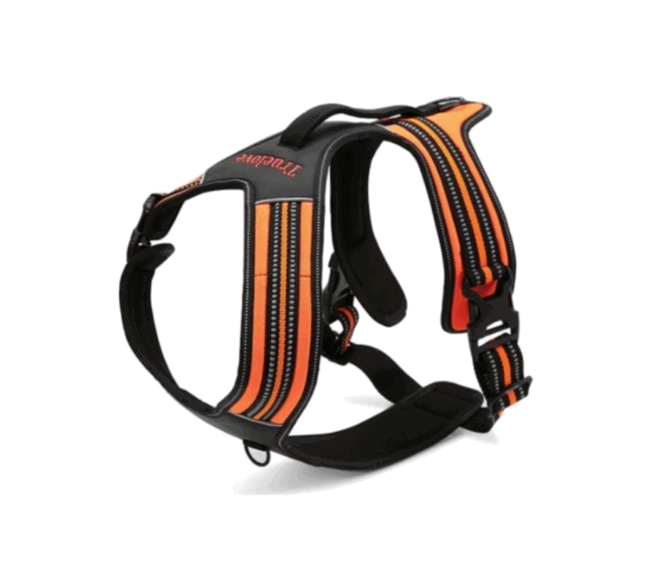 Sport No Pull Dog Harness Outdoor Adventure with Handle