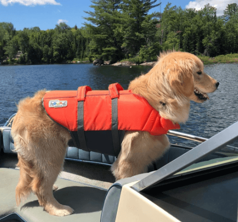 Dog Float Coat with Reflective Strips Large Dog Adjustable Dog Saving Vest Dog Safety Vest Swimwear Adjustable Ripstop Pet Life Vest for Small Huret Pet Life Jackets Medium 