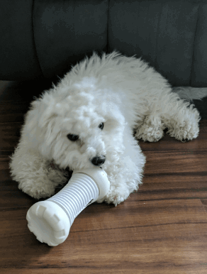 SKYMEE Fury Bone Smart Interactive Pet Toy being tested by our review team.