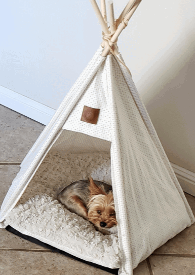 Pickle & Polly - Medium Dog Bed Teepee/Tent for Dogs being tested by our review team.