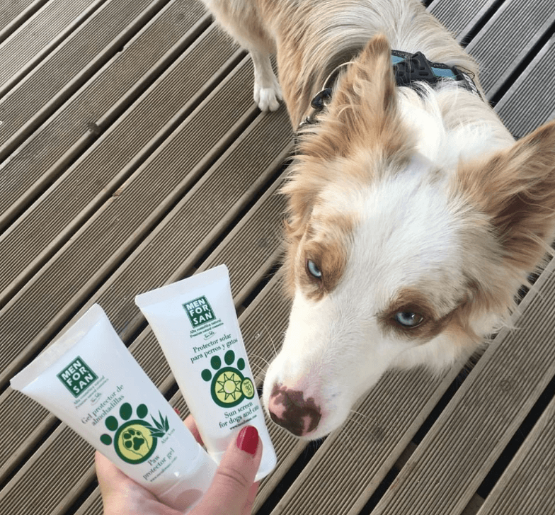 sun cream for white dogs