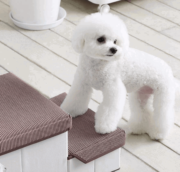 Roomnhome pet Storage Stepper being tested by our review team.