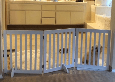 Unipaws Free Standing Walk Over Dog Gate being tested.