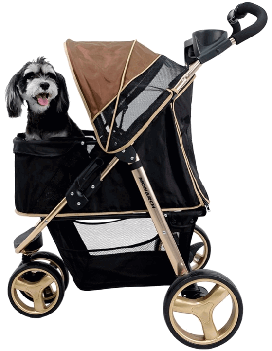 Ibiyaya Monarch Premium Pet Jogger Stroller being tested by our review team.