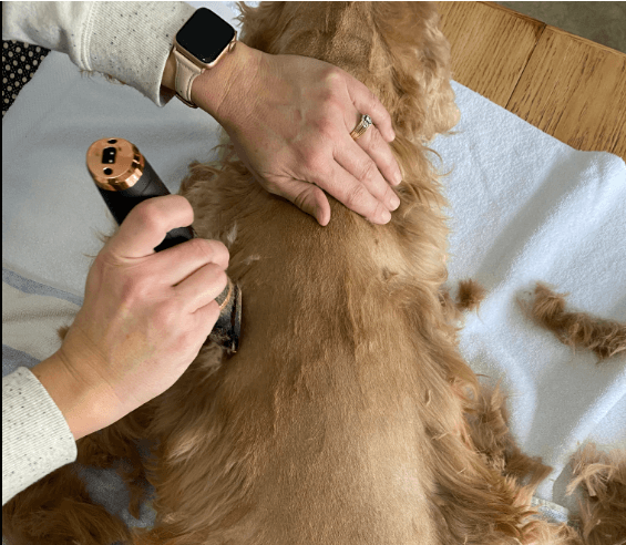 Holdog Pet Clippers