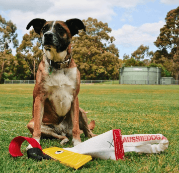Aussie Dog Heavy Duty Bungie Hook being tested by our review team.