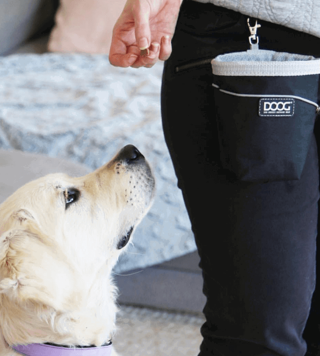 Doog Treat Pouch being tested by our review team.
