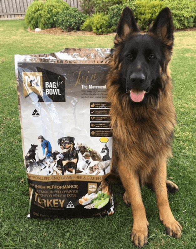 Meals For Mutts Grain Free High Performance Turkey being tested.