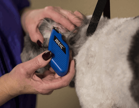 Wahl Clipper Pocket Pro