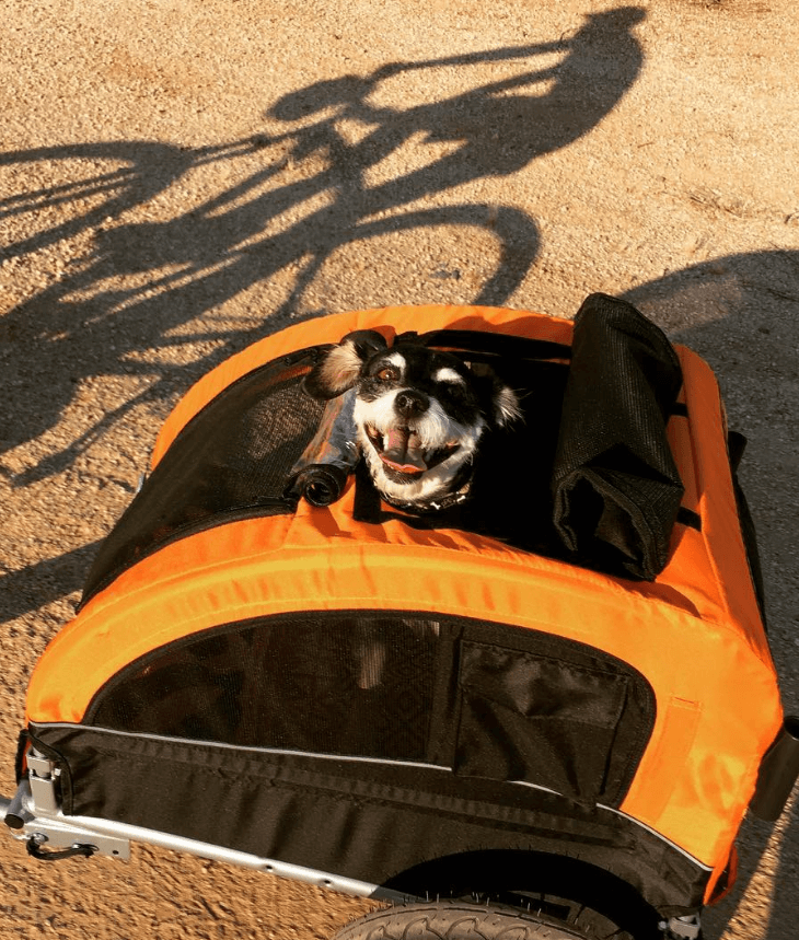 Booyah Medium Dog Stroller & Bike Trailer with Suspension being tested by our review team.