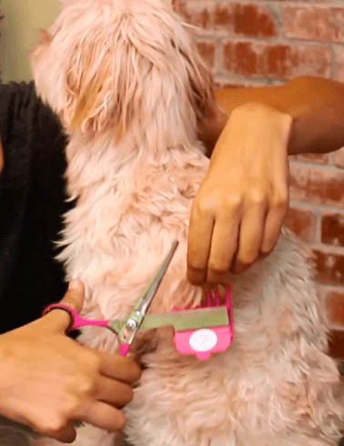 Scaredy Cut Silent Pet Grooming Kit For Cats & Dogs