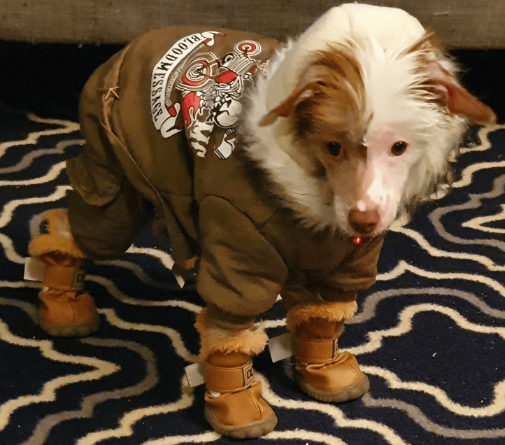 WINSOON Winter Warm Skidproof Sneakers