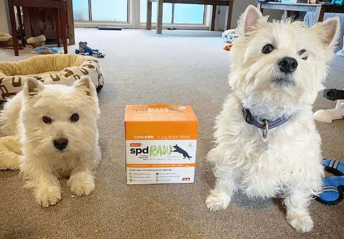 Prime100 SPD Raw Food being tested by our review team.