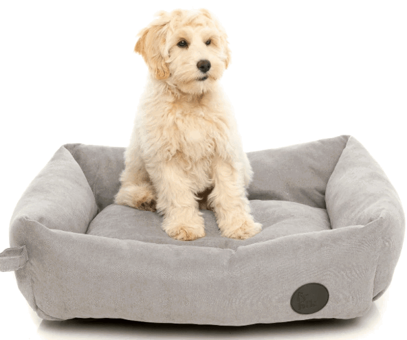 Fuzzyard The Lounge Bed being tested by our review team.