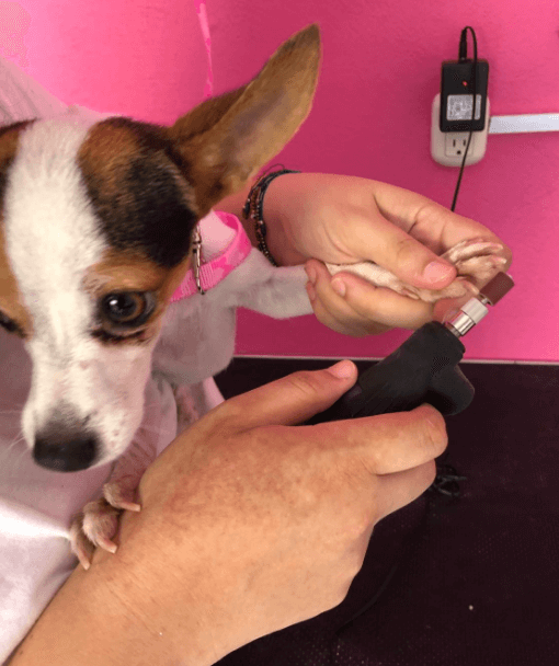 Andis EasyClip 2-Speed Animal Nail Grinder