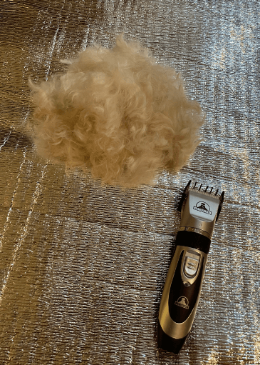 Pet Union Professional Dog Grooming Kit being tested by our review team.