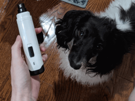 Casfuy Dog Nail Grinder