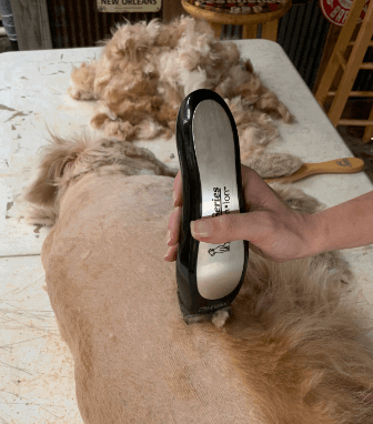 Wahl Lithium Ion Pro Series Cordless Dog Clippers being tested by our review team.