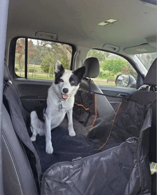 Fur King Dog Car Hammock