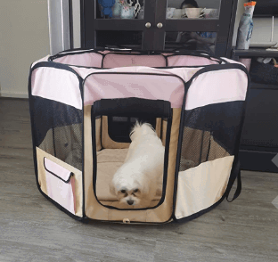 Zampa Portable Foldable Pet Kennel being tested by our review team.