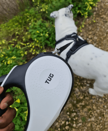 TUG 360° Tangle-Free, Heavy Duty Retractable Dog Leash being tested by our review team.