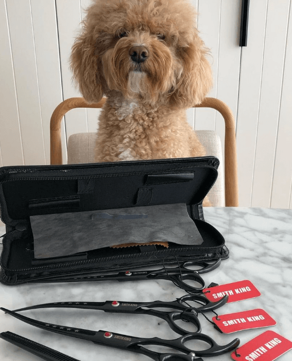 Smithking 7.0 inch Professional Dog Grooming Scissors Set being tested by our review team.