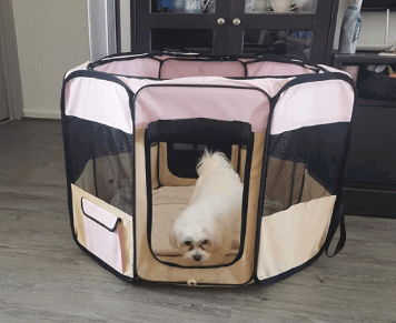 Zampa Portable Foldable Pet Playpen being tested by our review team.