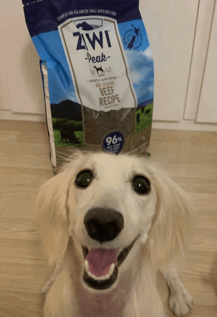 Ziwi Peak Air-Dried Dog Food being tested by our review team.