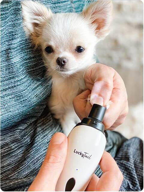 Lucky Tail Dog Nail Grinder