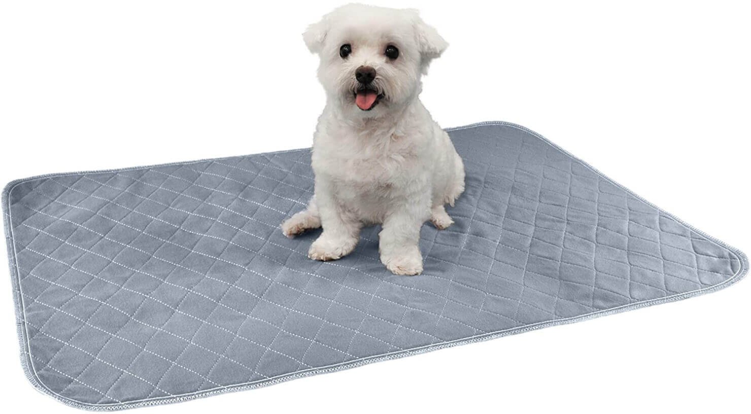 ehomegoods Tough Durable Oxford Waterproof Fabric Covered 2-Piece Polyester Filling Pillow Pet Bed for Small to Extra Large Dog 