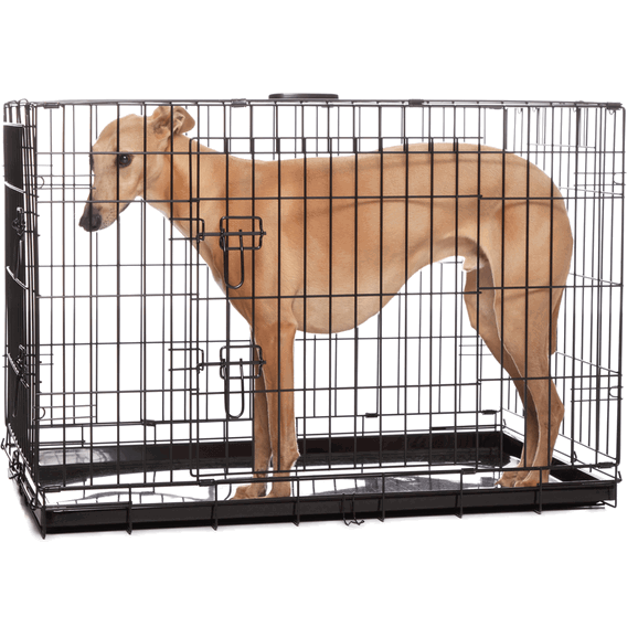 iPet Foldable Pet Crate being tested by our review team.