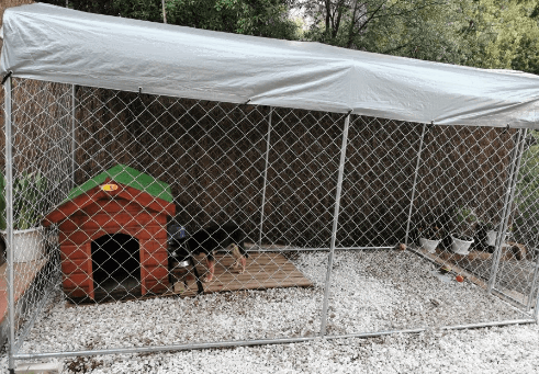 vidaXL Outdoor Dog Kennel with Canopy being tested by our review team.