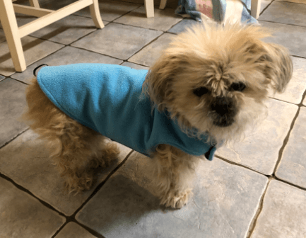 Creation Core Windproof Plush with Sport Vest being tested by our review team.