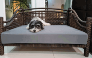 Maharaja Rattan Pet Day Bed