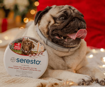 Seresto Collar being tested by our review team.