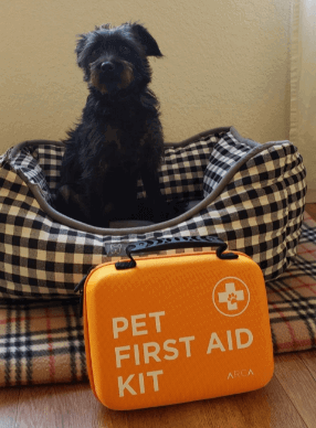 ARCA PET Cat & Dog First Aid Kit being tested by our review team.