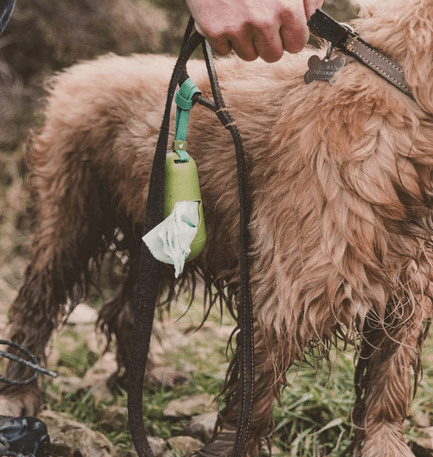 Beco Pets Bags Travel Pack being tested by our review team.