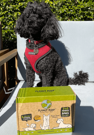Planet Poop Compostable Bags being tested by our review team.