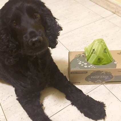 Pogi’s Poop Bags being tested by our review team.