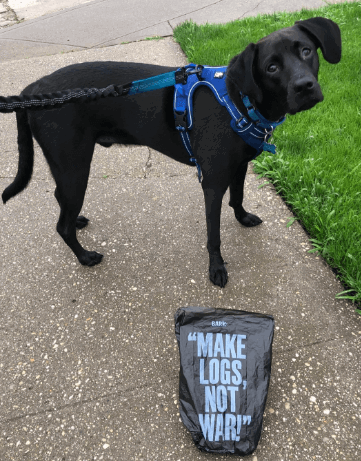 BarkBox Dog Waste Poop Bags being tested by our review team.