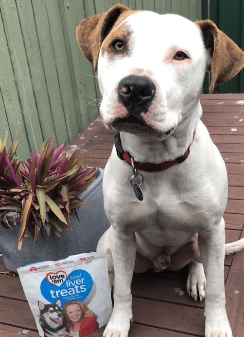 Love Em Beef Liver Treats being tested by our review team.