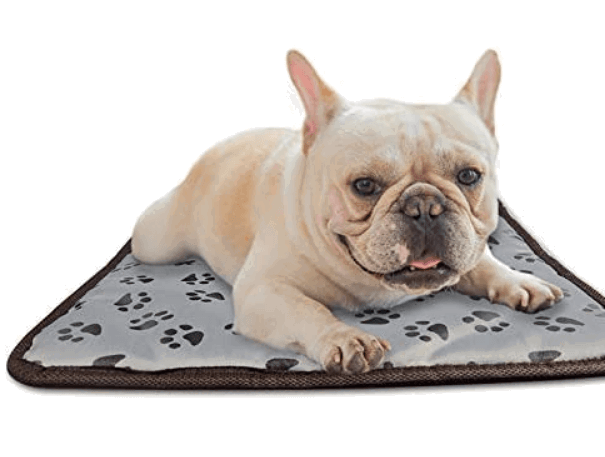 TINTON LIFE Electric Blanket being tested by our review team.